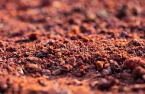 what is a soil test